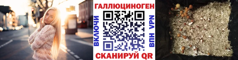 Псилоцибиновые грибы мицелий  Шахунья 